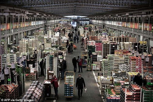 法国征用世界最大食品批发市场冷库当太平间,其他区域仍正常交易